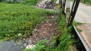 দখল-দূষণে অস্তিত্ব সংকটে ঐতিহ্যবাহী হোজা নদী