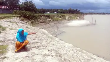 পুরাতন ব্রহ্মপুত্রের ভাঙনে বিলীন হচ্ছে বসতভিটা, ফসলি জমি