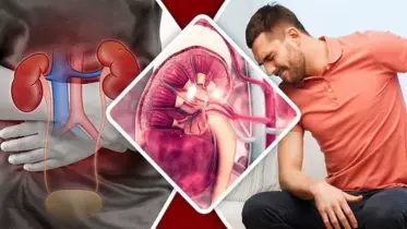 চুপিসারে কিডনি নষ্ট করছে আপনার এই ১ অভ্যাস! আজই বাদ দিন!