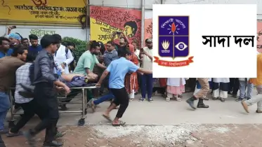 উত্তরার বিমান দুর্ঘটনায় ঢাবি সাদা দলের শোকবার্তা