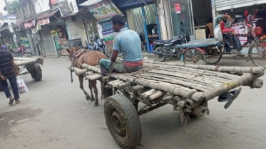 হারিয়ে যেতে বসেছে ঐতিহ্যবাহী গরুর গাড়ি