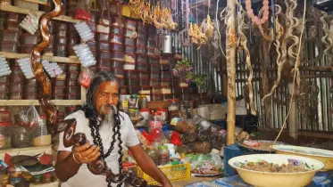 হারিয়ে যাচ্ছে ভেষজ উদ্ভিদ, সংকটে কবিরাজি পেশা 