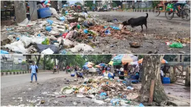 রাজধানীর মিরপুরে চিড়িয়াখানা সড়কের বেহাল দশা: জনদুর্ভোগ চরমে