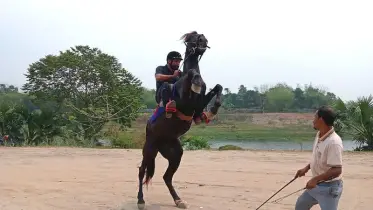 ঢাকায় ঘোড়সওয়ার প্রশিক্ষণকেন্দ্র: শহরের বুকে নতুন এক চর্চা