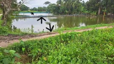 পটুয়াখালীতে খালে বাঁধ দিয়ে মাছ চাষ, পানি প্রবাহ বন্ধ হয়ে দুর্ভোগ চরমে