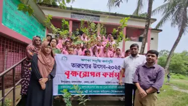 মীরসরাই ও ছাগলনাইয়ায় একযোগে এক হাজার গাছের চারা রোপণ