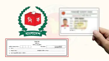 ভোটার স্লিপ হারিয়ে ফেলেছেন? চিন্তা নেই, জেনে নিন এনআইডি কার্ড ডাউনলোডের সহজ পদ্ধতি