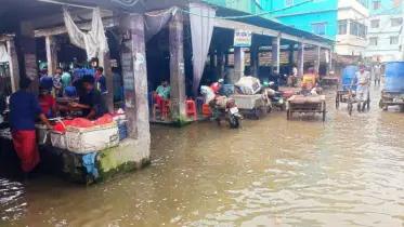 কেশবপুরে চার হাজার পরিবার পানিবন্দি, আশ্রয় কেন্দ্রে ত্রাণ সামগ্রী বিতরণ