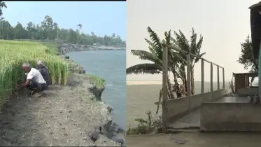 কুড়িগ্রামে বর্ষা আসার আগেই তীব্র হচ্ছে নদী ভাঙন,গৃহহীন শতাধিক পরিবার