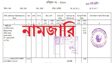 বৈধভাবে জমি কিনেছেন, কিন্তু নামজারি করেননি! জমি টিকবে কি?