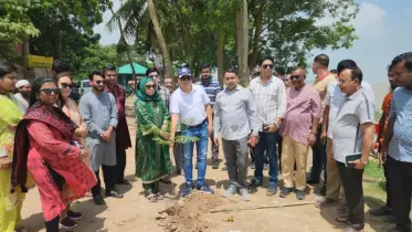 বৈষম্য বিরোধী ছাত্রদের অংশগ্রহণে পদ্মা তীরে  বৃক্ষরোপণ
