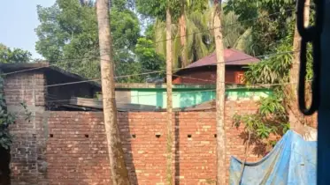 বাউফলে সরকারি খাস জমিতে বসতঘর নির্মাণের অভিযোগ