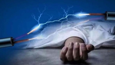 বিদ্যুৎপৃষ্ট গরুকে বাঁচাতে গিয়ে প্রাণ গেল মা ও ছেলের