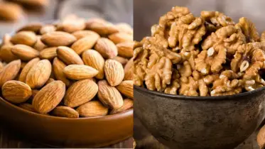 কাঠবাদাম না আখরোট,আপনার শরীরের জন্য কোনটা বেশি উপকারী?