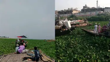 নরসিংদীতে সেতুর অভাবে চরম দুর্ভোগে চরাঞ্চলের অর্ধলক্ষাধিক মানুষ