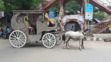 পুরান ঢাকার স্মৃতি হয়ে যাচ্ছে ঘোড়ার গাড়ি: এক অলিখিত বিদায়ের গল্প