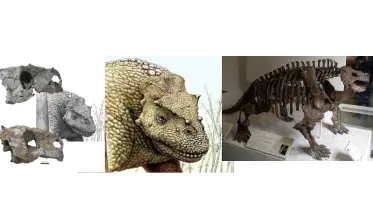 ২৫৯ মিলিয়ন বছর পুরোনো প্রাণীর সন্ধান