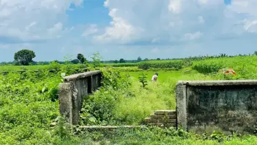 বাজেটের অভাবে অরক্ষিত ইবির সীমানা প্রচীর