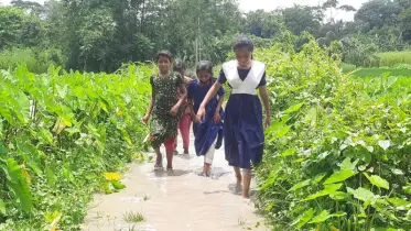 শরীয়তপুরের ডামুড্যার দাইমীর চর ভয়রা সরকারি প্রাথমিক বিদ্যালয়ের শিক্ষার্থীদের যাতায়াতে চরম ভোগান্তি