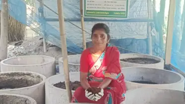 কেঁচো সার বানিয়ে ভাগ্য বদল, স্বাবলম্বী বরিশালের ডলি বিশ্বাস
