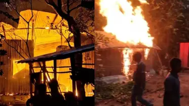 ঢাবি শিক্ষার্থী হত্যার ঘটনায় ঢাকায় আটক আসামী মাদারীপুরের তামিমের গ্রাম