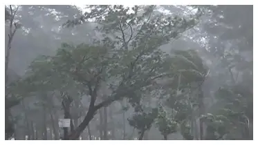  ঝড়-বৃষ্টির আশঙ্কা ৭ জেলায়, নদীবন্দরে ১ নম্বর সতর্কতা