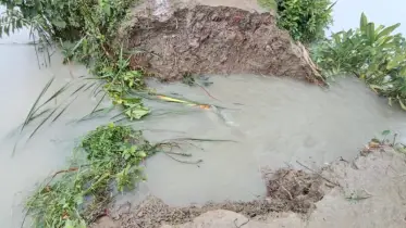 দুমকীতে বাঁধ ভেঙে পানিবন্দি শতাধিক পরিবার