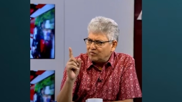 পিনাকীর ‘সরকার তত্ত্ব’ নিয়ে মুখ খুললেন মাসুদ কামাল