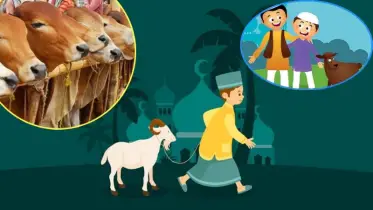 কোরবানি না করে আকিকা করলে চলবে?