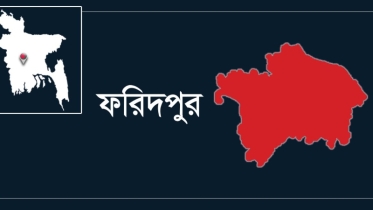 ছেলের অস্ত্রের আঘাতে মা আহত