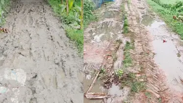 ডাসারে গ্রামীণ সড়কের বেহাল অবস্থা