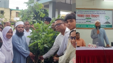 সবুজে ঘেরা মৌলভীবাজার জেলাকে আরও সবুজময় করতে চাই:জেলা প্রশাসক