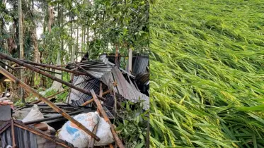কুড়িগ্রামে কালবৈশাখী ঝড়ে ক্ষতিগ্রস্ত ঘরবাড়ি ও কৃষিজমি