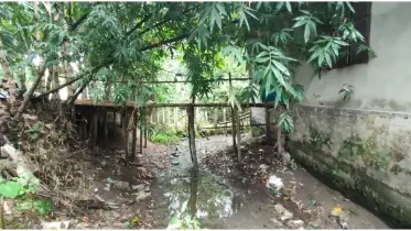 শত বছরের খাল গিলে খেল দখলদাররা! পানিতে ডুবে মরছে কৃষক-পরিবেশ