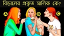 মাত্র ৫ সেকেন্ডে বলুন, কে এই বিড়ালের আসল মালিক? ৯৯% মানুষই ভুল করে!