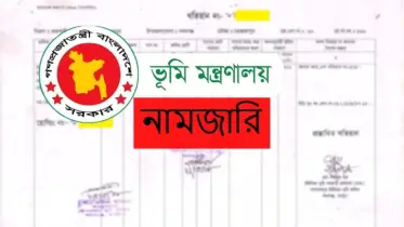 নামজারি ঝামেলা শেষ! নতুন সরকারি নিয়মে যেসব দলিলে আর দরকার নেই নামজারি