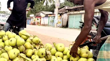 কমলগঞ্জে গরমে কদর বেড়েছে তালের শাঁসের 