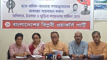 অন্তর্বর্তী সরকার গণঅভ্যুত্থানের আকাঙ্ক্ষা ধারণ করতে পারেনি: সাইফুল হক