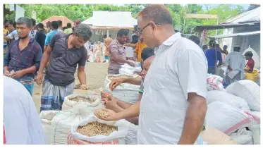 তিস্তার পাড়ে জমেছে বাদামের হাট, কিন্তু নেই ক্রেতা, চিন্তায় বিক্রেতারা