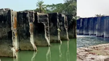 কলাপাড়ায় অর্ধশত স্লুইসগেট অকেজো