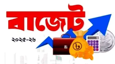বাজেটে দাম কমানোর সুখবর থাকছে যেসব পণ্যে!