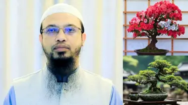 বনসাই করা ইসলামে জায়েজ? যা বললেন শায়খ আহমাদুল্লাহ