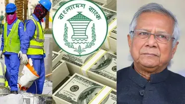 ড. ইউনূস পদত্যাগ করলে আবারও হবে রেমিট্যান্স শাটডাউন:প্রবাসীদের হুঁশিয়ারি