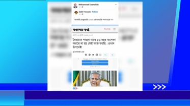 প্রধান উপদেষ্টার পতন চেয়ে পোস্ট শেয়ার করলেন হাবিপ্রবি উপাচার্য