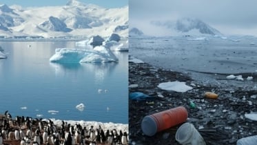 অ্যান্টার্কটিকায় বাড়ছে দূষণ, দায় পর্যটন ও গবেষণা বিস্তার
