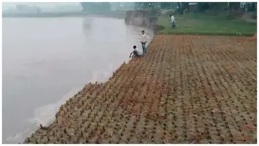 নদী গিলে খাচ্ছে ঘরবাড়ি, রাস্তা, বাজার- প্রাণপণ লড়াই সীমান্তবাসীর