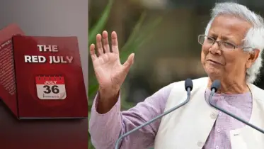 প্রধান উপদেষ্টা থাকবেন,তবে আগামীকাল থেকে আমাদের টিম রাজপথে থাকবে জুলাইকে বাঁচাতে