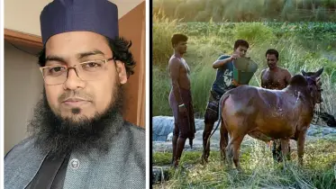ওরাও মালিক চেনে, নিজের পালিত প্রাণী কোরবানি দিন - হাবিবুর মিসবাহ