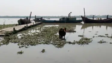 ১৯ বছরেও চালু হয়নি পিরোজপুরের কলারন-সন্ন্যাসী ফেরি, ভোগান্তি চরমে 