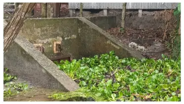 সুইচগেট বিকল, ব্রিজ মুখে জাল-জলাবদ্ধতায় ধ্বংসের মুখে ফসল